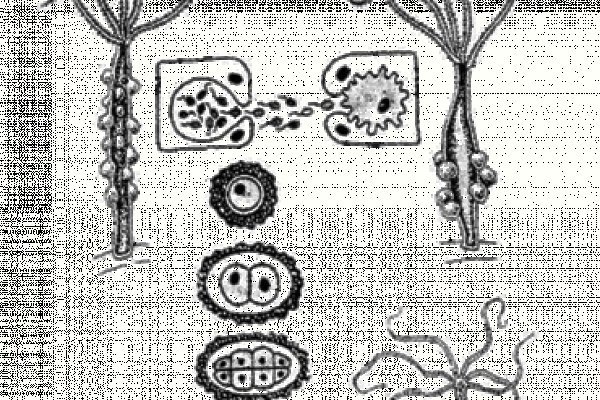 Кракен даркнет kraken014 com