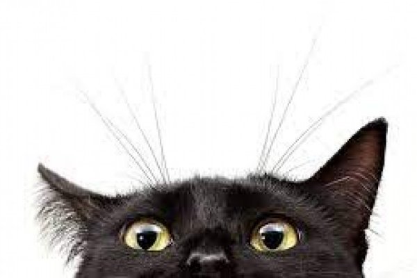 Кракен даркнет kraken014 com